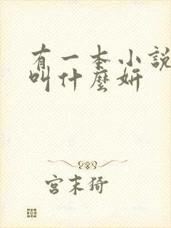 有一本小说女主叫什么妍