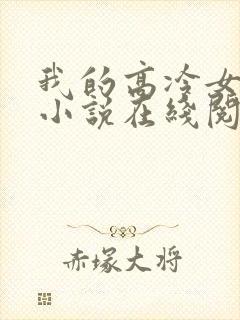 我的高冷女总裁小说在线阅读