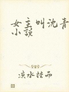 女主叫沈青鸢的小说封面