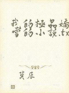 我的极品娇妻沈雪的小说.txt