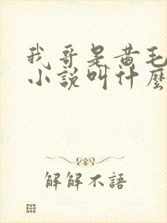 我哥是黄毛原著小说叫什么名字