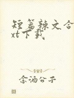 短篇辣文合集txt下载