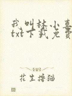 我叫林小喜小说txt下载免费