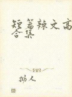 短篇辣文高h文合集