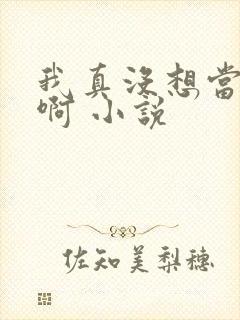 我真没想当反派啊 小说