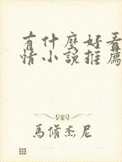 有什么好看的言情小说推荐