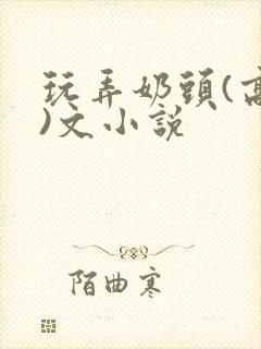 玩弄奶头(高h)文小说