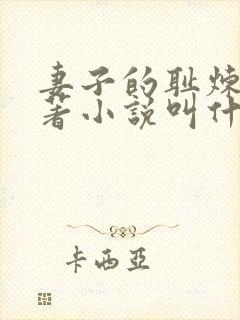 妻子的耻炼狱原著小说叫什么