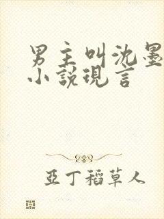 男主叫沈墨白的小说现言