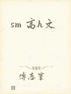 sm 高h文