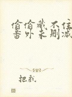 偷偷藏不住新婚番外未删减txt