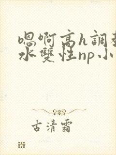 嗯啊高h调教喷水双性np小说
