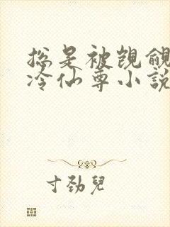 总是被觊觎的清冷仙尊小说