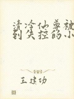 清冷仙尊被欺负到失控的小说封面