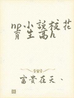 np小说校花体育生高h封面