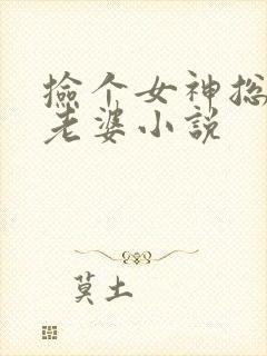 捡个女神总裁当老婆小说