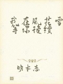 我在风花雪月里等你后续