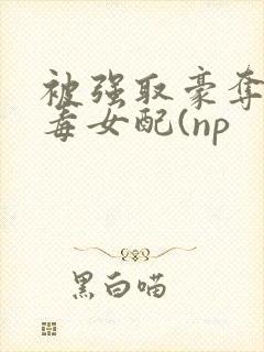 被强取豪夺的恶毒女配(np