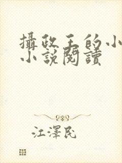 摄政王的小闲妻小说阅读