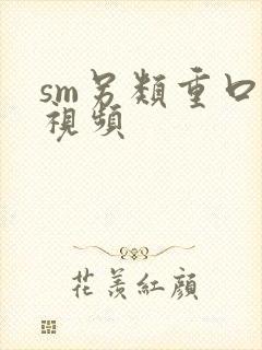 sm另类重口味视频
