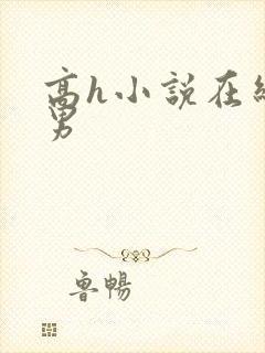 高h小说在线男男封面