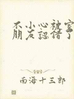 不小心被室友男朋友认错了宁笑阿温作者