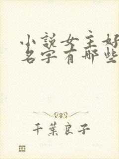 小说女主好听的名字有哪些
