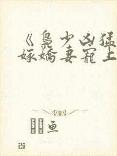 《枭少凶猛,替嫁娇妻宠上天》小说封面