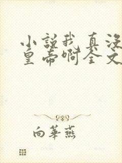 小说我真没想当皇帝啊全文