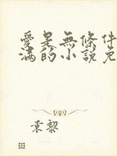 爱是无条件的圆满的小说免费阅读封面