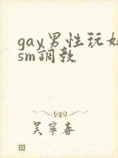 gay男性玩奴sm调教