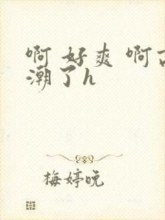 啊 好爽 啊高潮了h