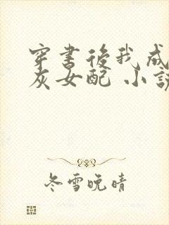 穿书后我成了炮灰女配 小说