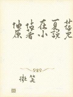 他站在夏花绚烂原著小说免费阅读封面