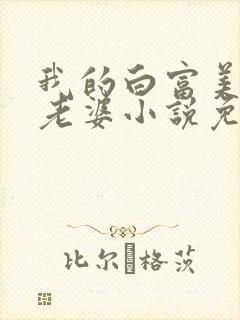 我的白富美总裁老婆小说免费