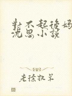 对不起后妈李兵沈思小说