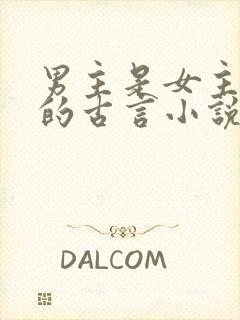 男主是女主夫子的古言小说