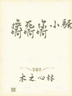 操死你小骚货啊啊啊啊