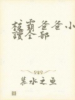 校霸爸爸小说阅读全部