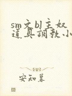 sm文bl主奴道具调教小说封面