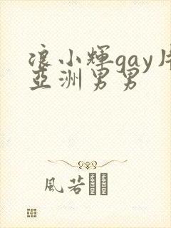 浪小辉gay片亚洲男男封面