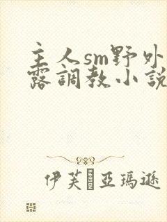 主人sm野外裸露调教小说封面