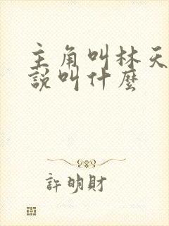 主角叫林天的小说叫什么