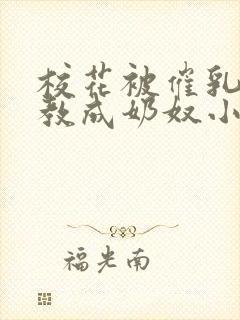 校花被催乳针调教成奶奴小说