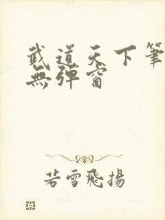 武道天下笔趣阁无弹窗