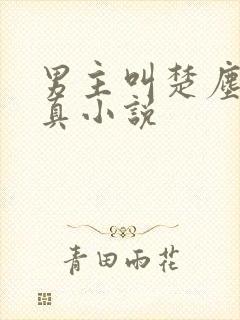 男主叫楚尘的修真小说