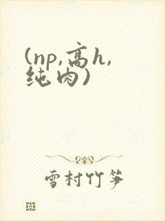 (np,高h,纯肉)