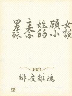 男主姓顾女主叫苏念的小说