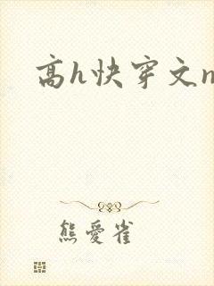 高h快穿文np封面