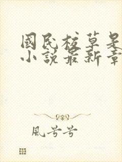 国民校草是女生小说最新章节